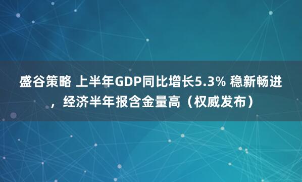 盛谷策略 上半年GDP同比增长5.3% 稳新畅进，经济半年报含金量高（权威发布）