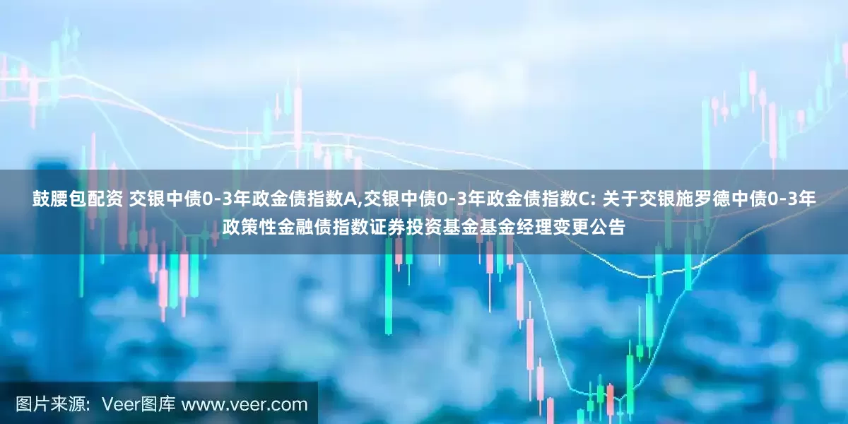 鼓腰包配资 交银中债0-3年政金债指数A,交银中债0-3年政金债指数C: 关于交银施罗德中债0-3年政策性金融债指数证券投资基金基金经理变更公告