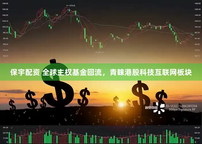 保宇配资 全球主权基金回流，青睐港股科技互联网板块