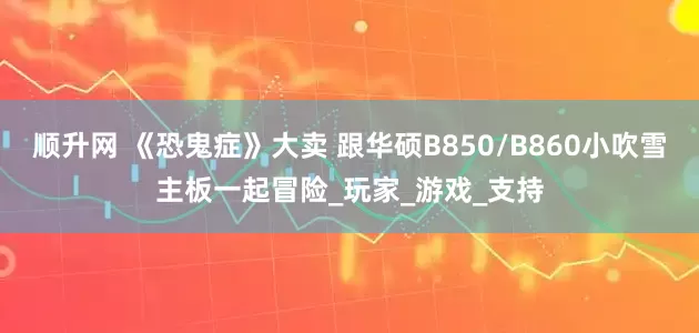 顺升网 《恐鬼症》大卖 跟华硕B850/B860小吹雪主板一起冒险_玩家_游戏_支持
