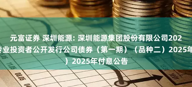元富证券 深圳能源: 深圳能源集团股份有限公司2021年面向专业投资者公开发行公司债券（第一期）（品种二）2025年付息公告