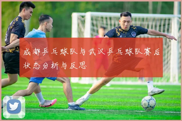 成都乒乓球队与武汉乒乓球队赛后状态分析与反思